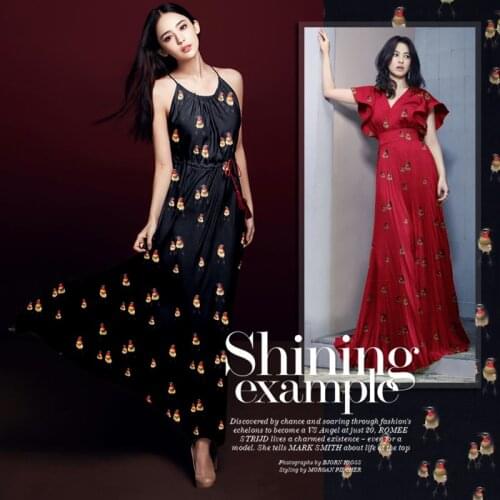 135cm wide 8mm cute birds print thin silk chiffon fabric for summer long and short dress shirt clothes D525