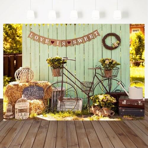Spring Park Photography Backdrops Vintage Bicycle Birdcage Children Backgrounds for Photo Studio Green Wooden Board Backdrop
