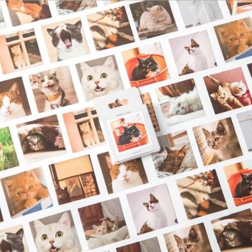 24box Animal Kawaii Sticker Scrapbook Multifunctional Student Stationery Diary Decoration Sticker Adhesive Hand Account DIY