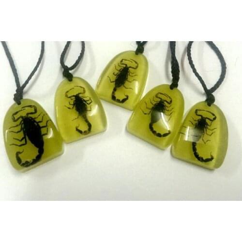 FREE SHIPPING 30 Pendant Chinese Real Black Scorpion Bug Insect Resin Pendant
