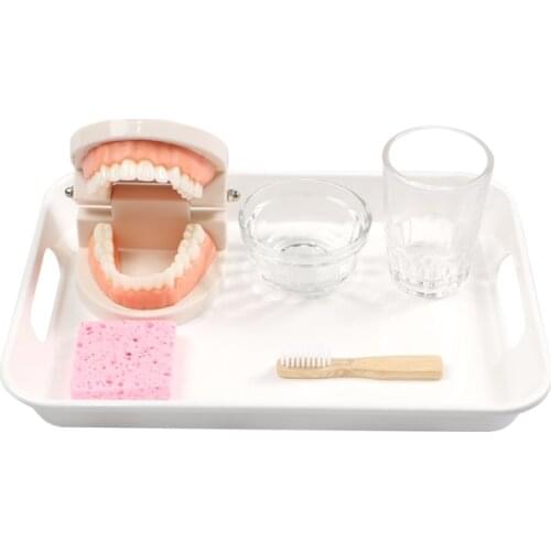 Montessori Brushing Teeth Dental Models Kids Early Educational Toys Learning Toothbrush Matertials for Children 18 Month