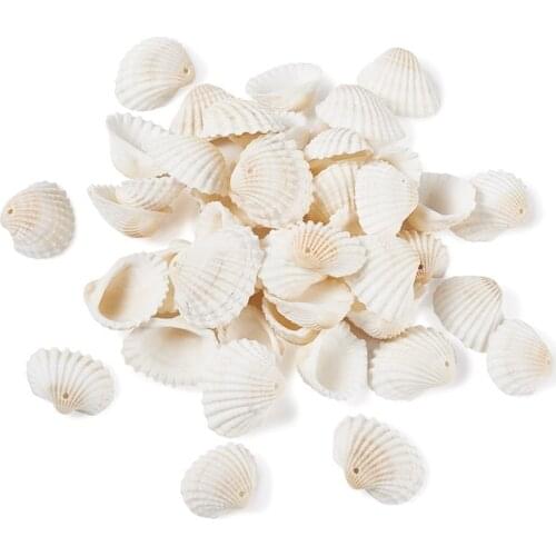 Pandahall 1 Box Natural Spiral Shell Pendants Charms for Jewelry Making DIY Bracelet Necklace Earring Findings Decoration