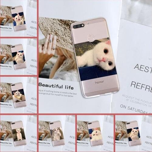 Cat Animal Phone Case For Huawei Honor 10 9 8 8X MAX 7 7S 7X 7A 7C Pro Silicone Soft Back Cover For Huawei Honor 7 8 9 10 Lite