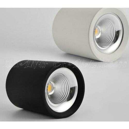 AC110V AC220V AC240V Cold white/Warm white Aluminum 10W 12W 15W LED COB ceiling lamps downlight 10PCS