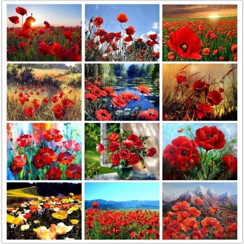 100% Full 5D Diy poppy Daimond Painting 5d Diamond Painting Rhinestones Painting Diamant Embroidery Flowers Mosaic home decor