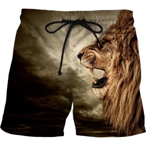 LOVE SPARK 2017 New Plus Size Mens Running Shorts 3D Lion Printing Summer Jogging Shorts M To 6XL With 2 Pockets