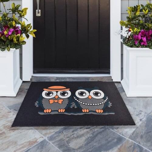 Падуб Entrance Carpets For Home