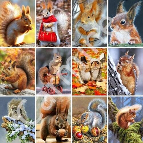 DIY 5D Diamond Painting Animal Squirrel Kit Cross Stitch Embroidery Mosaic Picture Full Round&Square Drill Home Decoration Gift