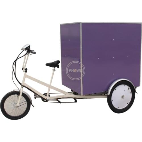Heavy goods 500w Powerful motorized cargo trike/COURIER TRIKE with free shipping by sea and three wheels