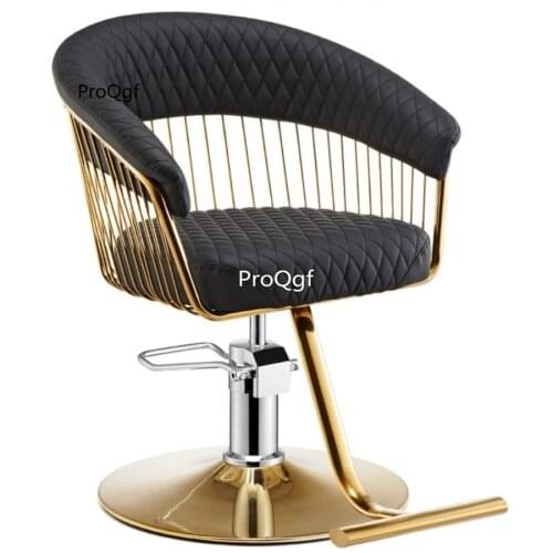 Prodgf 1 Set rare series Hair Cut use Salon Chair