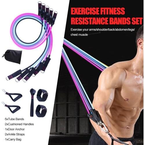 Resistance Bands Set (11pcs) for Physical Therapy Resistance Training Home Workouts Door Anchor Handles Ankle Straps Carry Bag