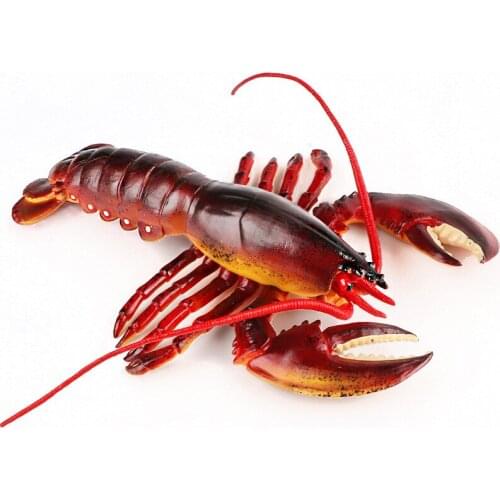 Classic American Boston Lobster Simulation Sea Life Animal Red Palinuridae Marine Model Action Figures Educational Kid Toy