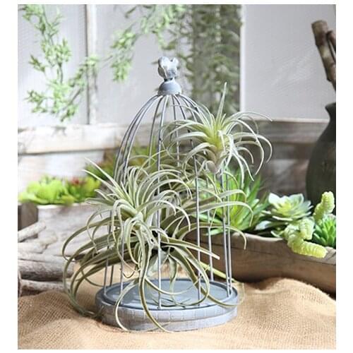 Shine&Sasha Artificial Plants