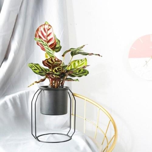 Y1UU Metal Potted Plant Stand with Iron Flower Pot Rack Holder Garden Home Decoration