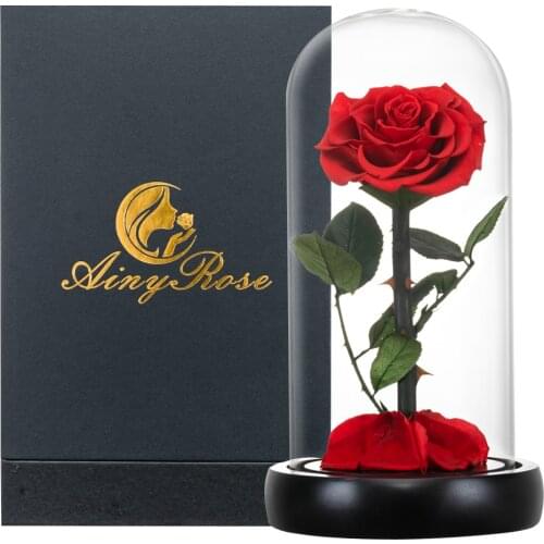 2021 The Beauty and The Beast Fresh Flowers Red Eternal Roses with Light In Glass Dome for Mothers Day Gift Dropshiping