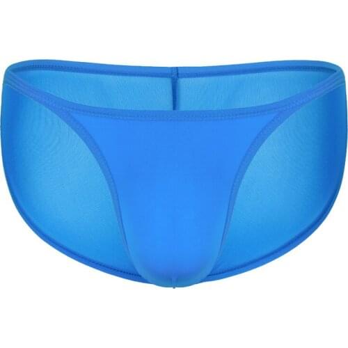 Male Sexy Transparent Mesh Briefs Bikini Panties Swim Botttoms Mens Cock Pouch Underpant Sunbath Beachwear Plus Size