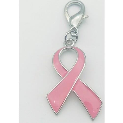 Metal Alloy Breast Cancer Warning Key Chains Red Pink Ribbon Key ring Decoration Gift Events Keychain Premium