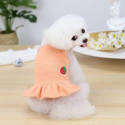 Dog Dress Dog Clothes Pet Clothing Autumn and Winter Schnauzer Teddy Dog Small Dog Ferret Fleece Skirt Puppy Clothes