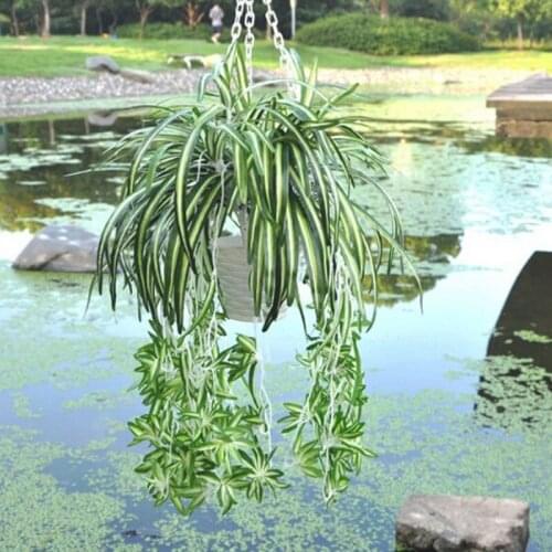 Artificial Flower Bracketplant Chlorophytum Orchids Rattan Wall Hanging Silk Flower Artificial Plant Home Shop Decor