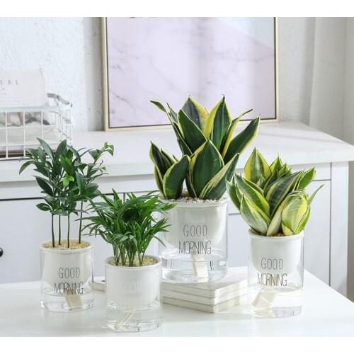 RBCFHl 1PC Automatic Watering Planter Pot Ceramic Flowerpot with Glass Water Container for Green Plants Succulent Plant Cactus