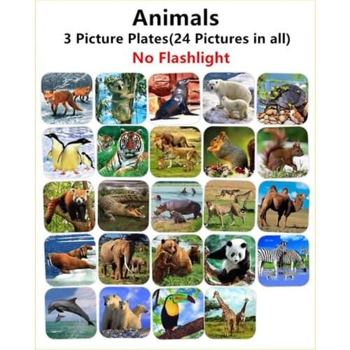 Replacement Pictures Plates (Flashlight is not included)