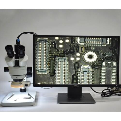 Insein Li Fung Hunting Cameras