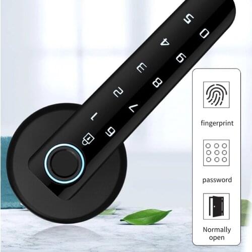 Biometric Fingerprint Password Lock Auto Security Smart Door Lock for Home Electronic Fingerprint Door Lock