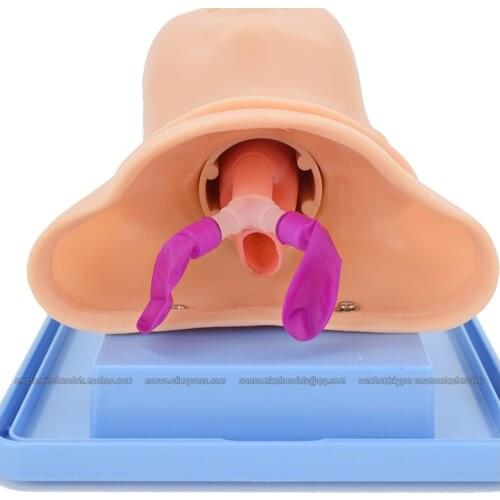 CMAM/12700 Infant Airway Management Model, Medical Science CPR Manikin, @CMAM anatomicalmodels