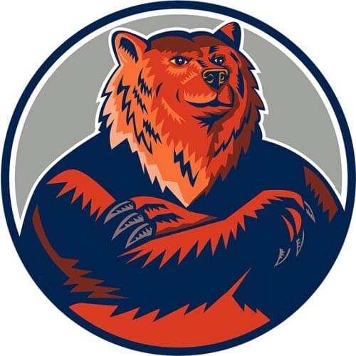 Small Town Russian bear vinyl creativity stickers with animals for Passat B6, Lada, car decoration