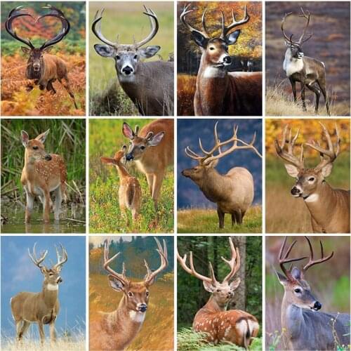 DIY Deer 5D Diamond Painting Full Square Drill Animal Diamond Embroidery Cross Stitch Kits Mosaic Wall Art Home Decor