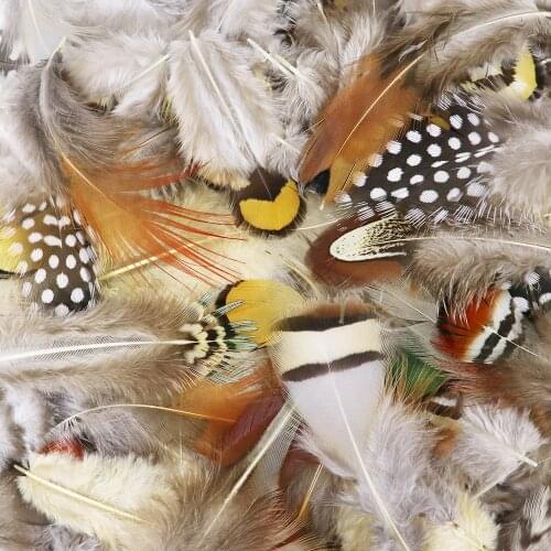 50pcs Pheasant Feather Natural Rooster Hair Jewelry Crafts Decoration 5-15cm Making Feather Jewelry Headdress Melange Plumes
