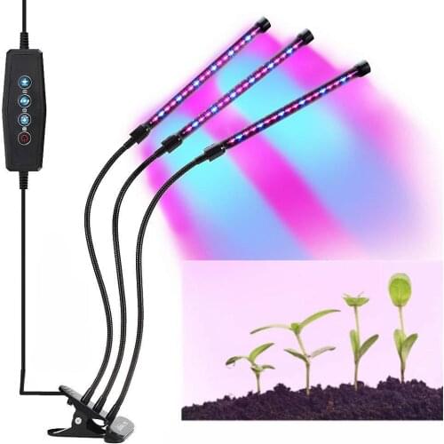 Studyset Phytolamps For Plants