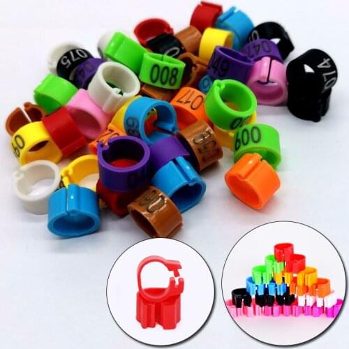 100PCS Chicken Pigeon Foot Ring Adjustable Size Poultry Leg Digital Label Buckle Ring Plastic Chick Duck Goose Farm Equipment
