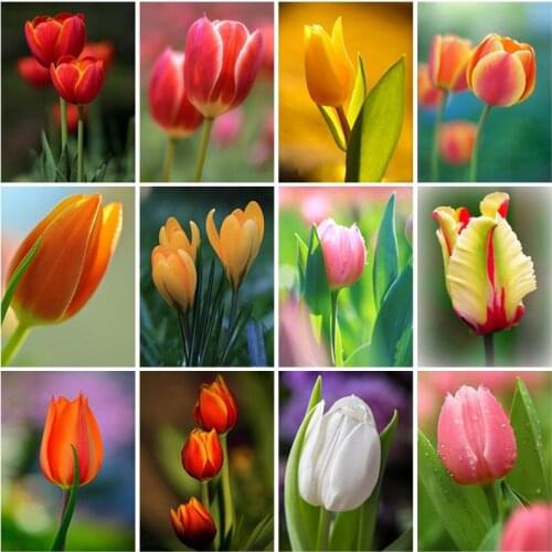 DIY 5D Diamond Painting Landscape Flower Rose Diamond Embroidery Handmade Cross Stitch Kit Christmas Gift Home Decor Wall Art