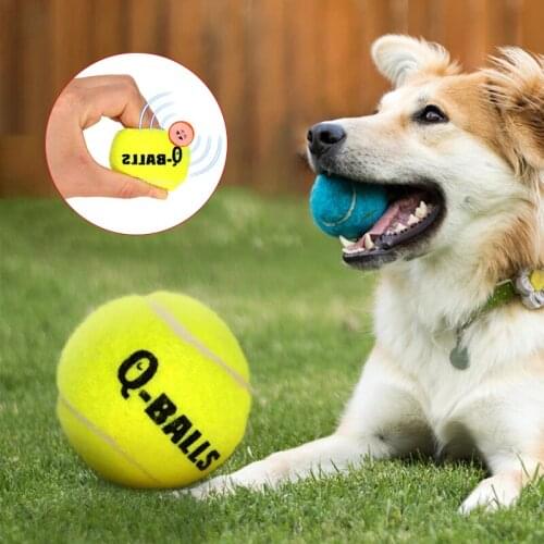 Squeak Dog Chew Toy Pet Dog Training Supply Molar Bite Chewing Pet Toys ForSmall Medium Large Dogs Cats Play Chewing Balls Toys