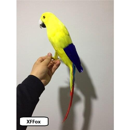Cute real life parrot model foam&feather yellow parrot bird gift about 40cm xf0093