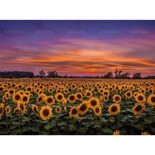 Sunflower Full Square Round Drill Diamond Painting Dark Nightfall Cross Stitches Cross Stitch 5D DIY Wall Art Diamond Embroidery