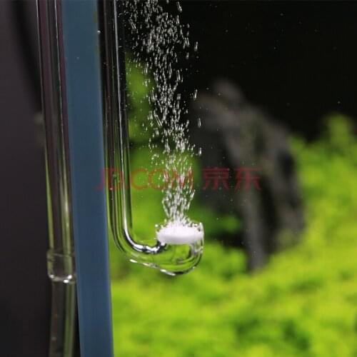 VIV glass CO2 diffuser aquarium water plant grow promote VIV Official flagship store