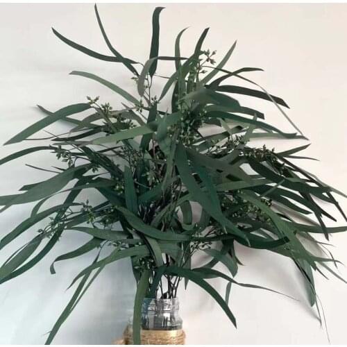 80g/35~45CM,Natural Plant Dried Flowers Forever Millet Leaves Bouquet,Preserved Eucalyptus Garland For Wedding Decoration,Home