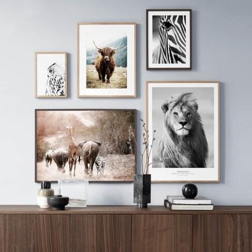 Nordic Lion Zebra Elephant Cow Animal Canvas Painting Posters and Prints Wall Art Picture for Living Room Home Decor Cuadros