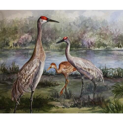 JMINE Div 5D crane river tree Full Diamond Painting cross stitch kits art High Quality Animal 3D paint by diamonds