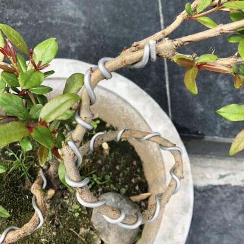 Bonsai Wire 2mm*16feet Modeling Aluminum Garden And Agricultural Tools Plant Shape Aluminum Wire