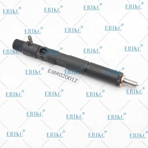 2001Z Diesel Fuel System Injector EJBR02001Z Diesel Common Rail Fuel injector Nozzle EJB R02001Z OEM EJBR0 2001Z for Delphi