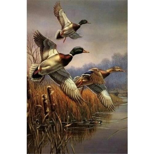 5D Full Square rhinestones mosaic wild duck,Full Diy Diamond Painting Cross Stitch Diamond Embroidery animals home Decorative