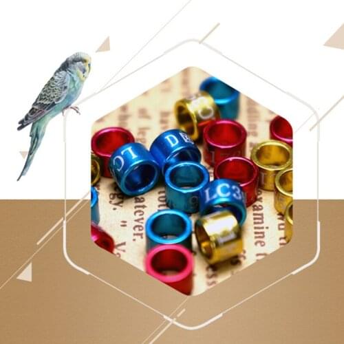 50 Pcs Pigeon Bands Bird 5mm Foot Ring Species Identify Training Rings Pet Bird Label Sign for Pigeon Dove Chicks Small