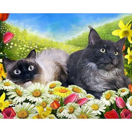 A2393311CT/14CT/18CT/25CT/28CT oil scenery patterns Counted Cross Stitch DIY Cross Stitch Kits Embroidery Needlework Sets