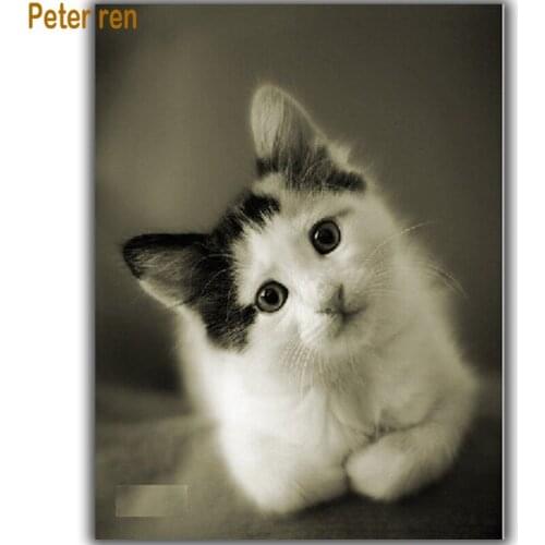 Peter ren Diy Diamond painting Cross stitch kit Diamond embroidery Cat square drill Diamond Mosaic pasted full crafts needlework