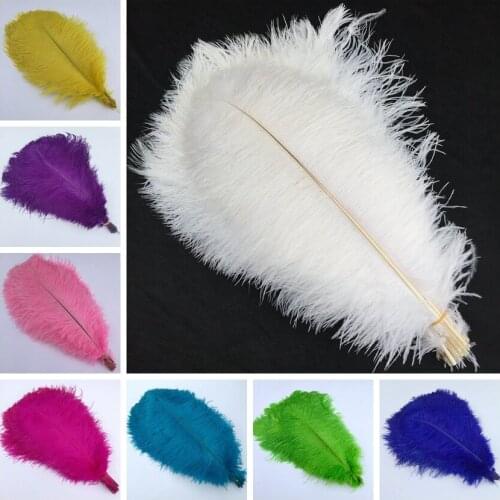 10Pcs/Lot Colored Ostrich Feathers for Crafts 16-18" 40-45CM White Ostrich Feather Wedding Accessories Decoration Party Decor