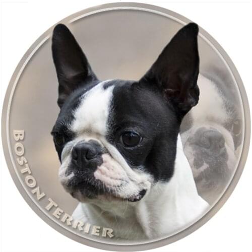 S40317# Various Sizes PVC Decal Boston Terrier Car Sticker Waterproof For Bumper Rear Window Laptop Refrigerator Toilet