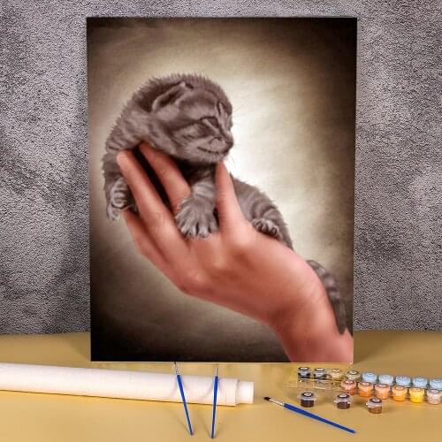 Cat Animals Painting By Numbers Set Oil Paints 50*70 Canvas Painting Wall Decoration For Wholesale